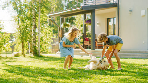 Kids playing on lawn with dog