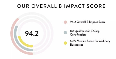 spruce impact report b corp score