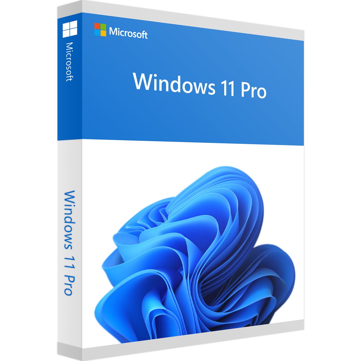 Windows 11 Pro Product Key günstig kaufen