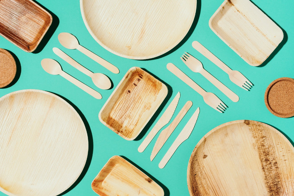 palm-leaf-plates-vs-bamboo-plates-which-one-is-better-eco-friendly