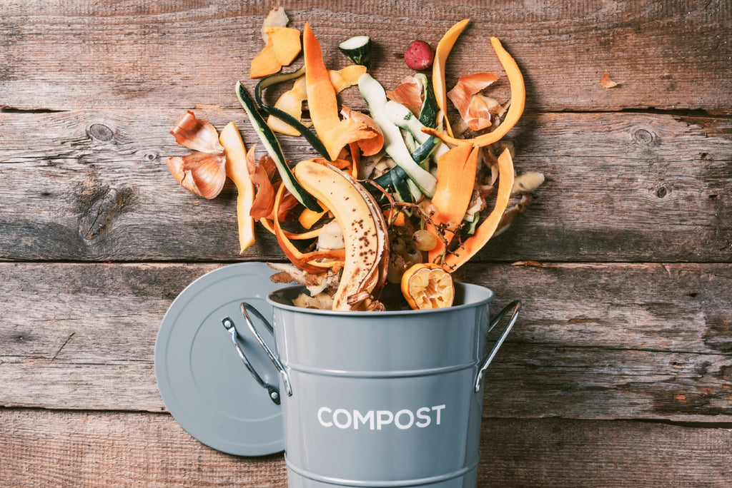 small compost bin with vegetable