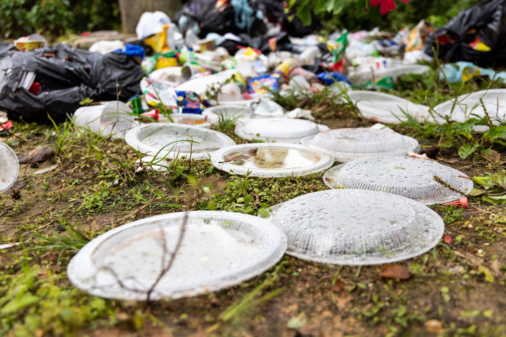plastic plates waste