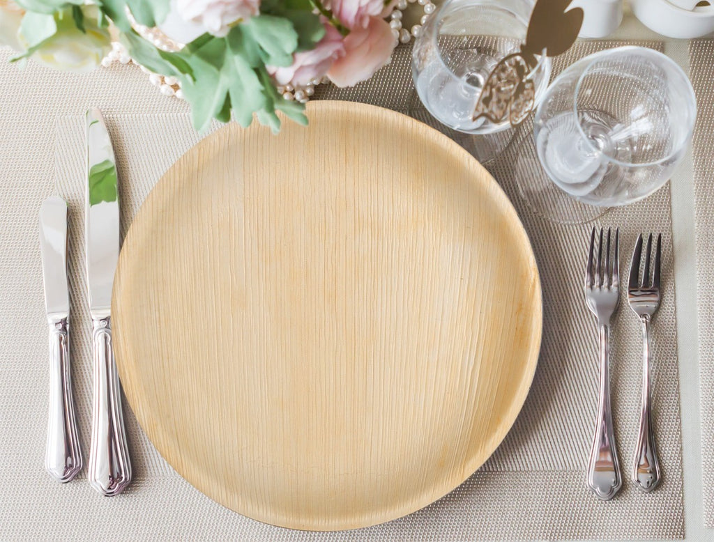 best eco-friendly disposable plates That Don't Cost the Earth - VerTerra  Dinnerware