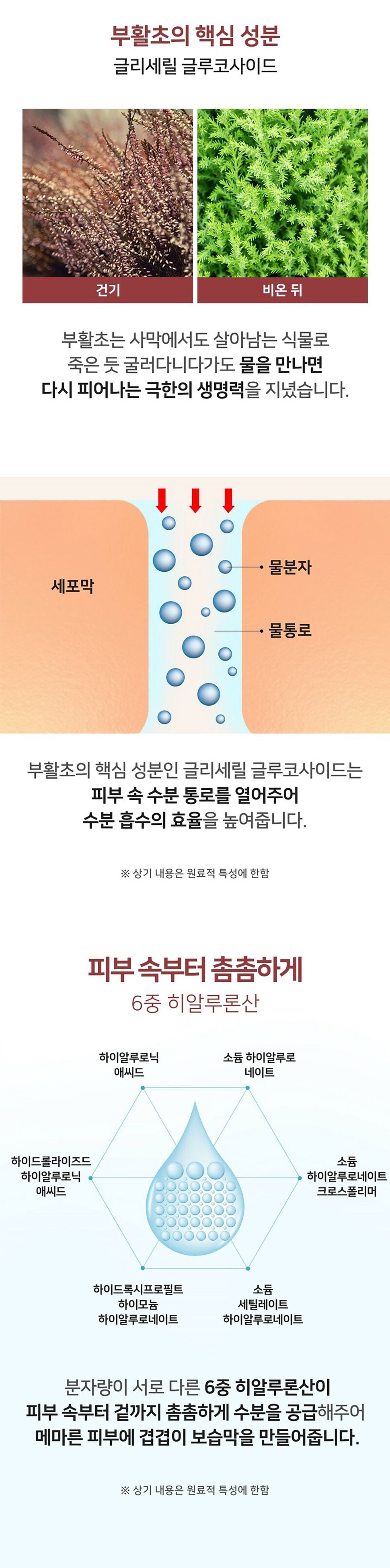 조성아 기미 크림 재생 크림 선크림 홈쇼핑 한국대박 공구중독