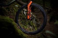 Picture of Turbine wheels on an Orbea Rallon.
