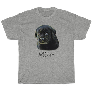 dog in t shirt