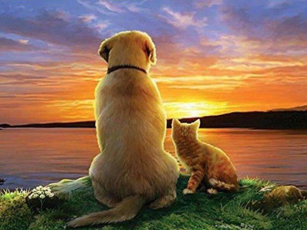 Hund und Katze bei Sonnenuntergang Diamond Bild Diamond Painting Welt