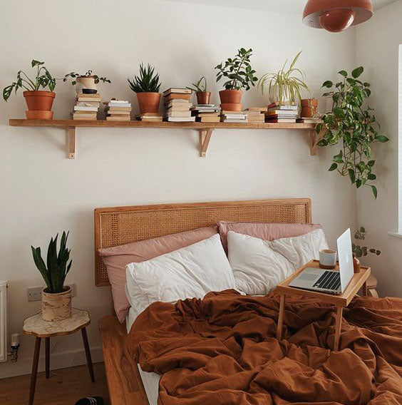 habitación con una cama y una estantería llena de plantas