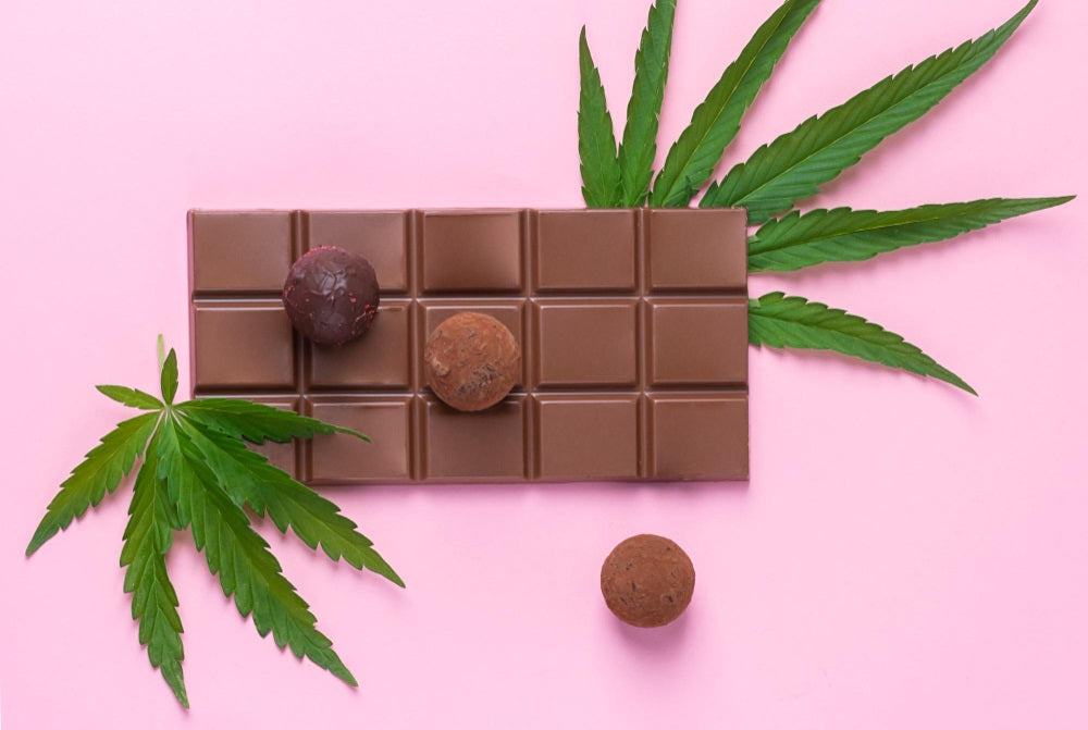 https://cdn.shopify.com/s/files/1/0300/5634/9755/files/chocolate-whole-bar-candy-cannabis-leaf-fresh-cannabis-pink-background-vertical-frame-flat-layout.jpg?v=1672673254