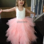 Backless Lace Ruffle Tulle Skirt Flower Girl Dress