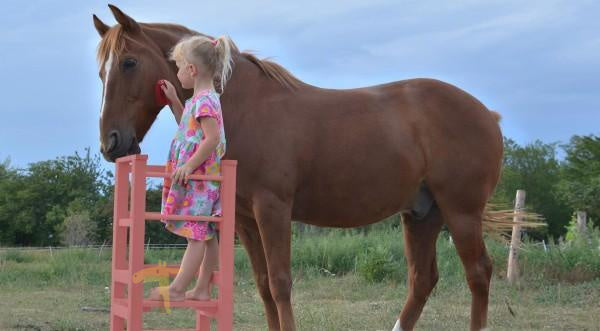 Stroking a horse