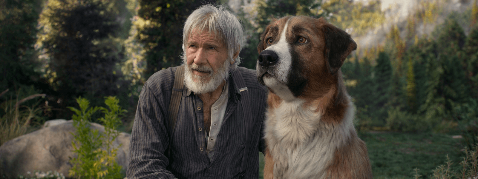 Harrison Ford et Buck dans L'Appel de la forêt