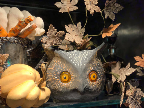 Owls represent Halloween as well 