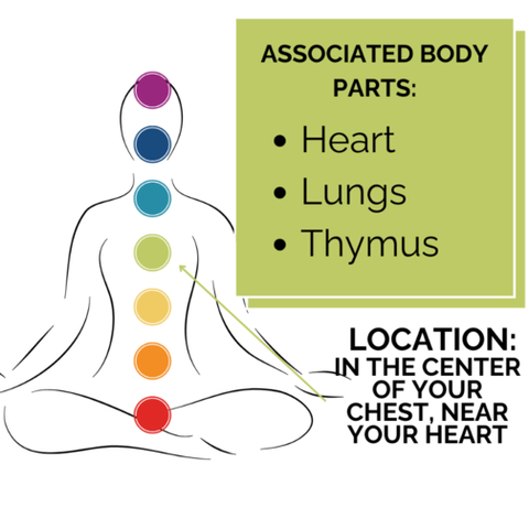 an image of a person sitting cross legged with all the chakra colors showing at their centers. Associated body parts Heart, lungs, Thymus. Location in the center of your chest near your heart.