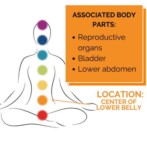an image of a body with the 7 chakra centers colored in place with an orange sign showing what is included in the sacral chakra