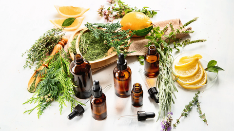 Essential Oil Extraction Methods