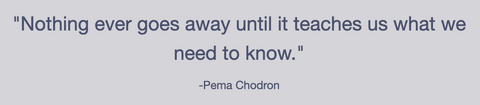 "Nothing ever goes away until it teaches us what we need to know."  -Pema Chodron