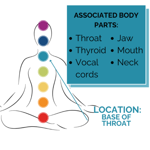 Associated Body Parts: Throat, Thyroid, Vocal Cords, Jaw, Mouth, Neck. Locattion: Base of Throat