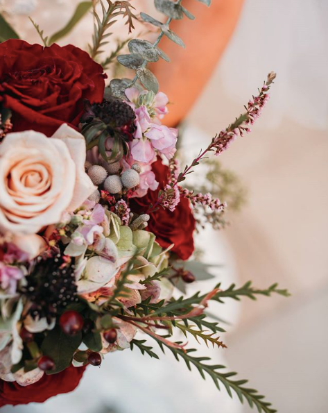 Deep red roses with Kennedy Blue Bordeaux