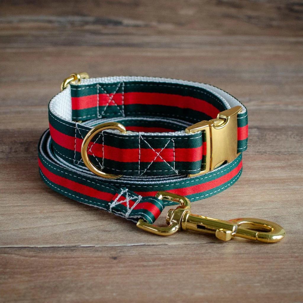 gucci leash and collar