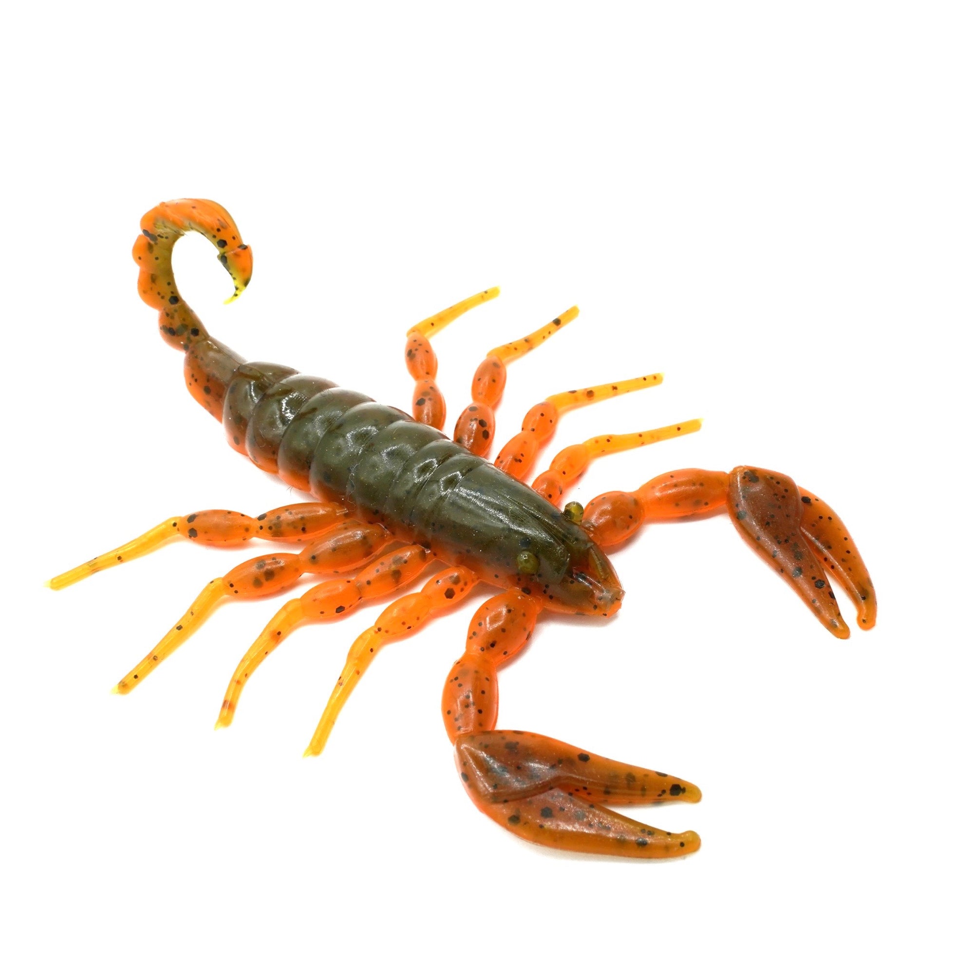 FRESH Scorpion - EURO YELLOW TAIL - Freshbaitz