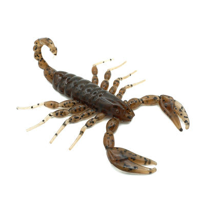 Scorpion Starter Kit - Freshbaitz