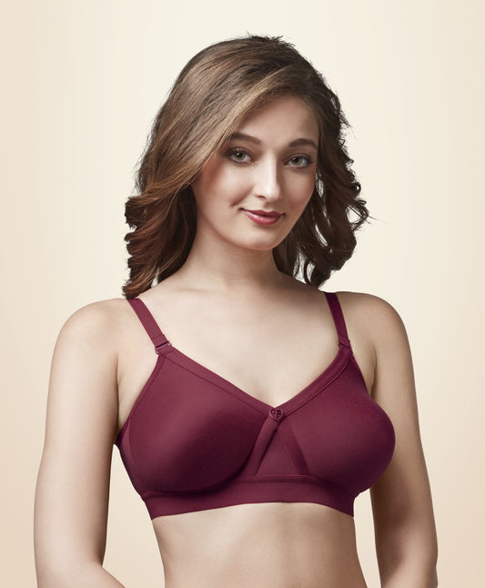 Amante Polyamide, Spandex 32E T-Shirt Bra Price Starting From Rs