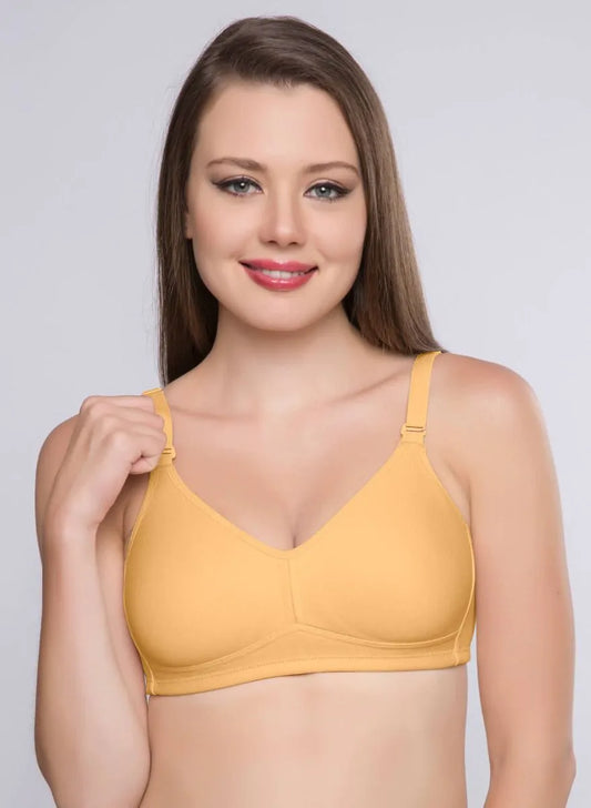 https://cdn.shopify.com/s/files/1/0300/8505/4523/products/riza-minimizer-bra-caramel.webp?v=1678867534&width=533