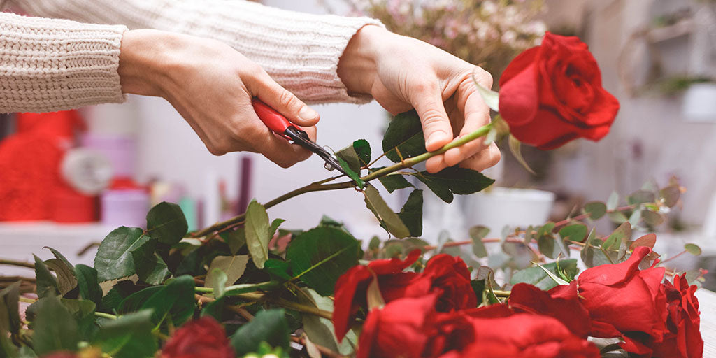 Quelle rose pour un Anniversaire et combien?