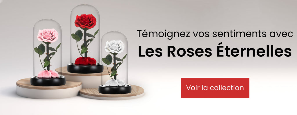 Rose eternelle