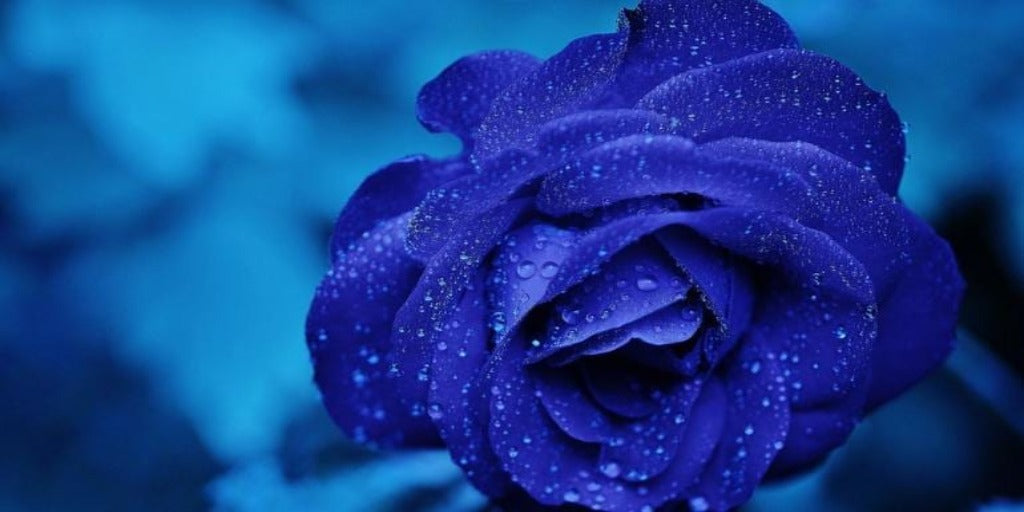 Signification couleur rose bleue