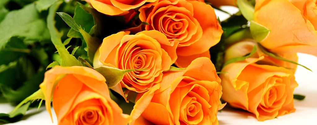 signification rose orange