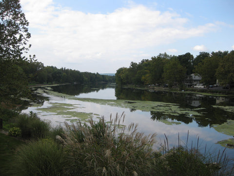 Conodoguinet Creek