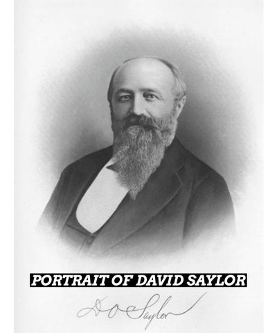 David Saylor Portrait