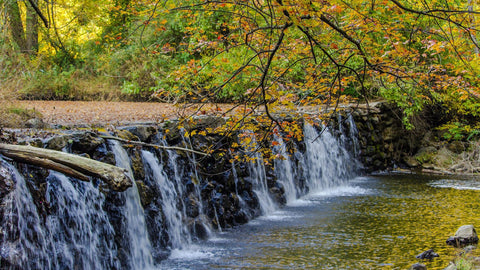 Falls in Ridley Creek State Park