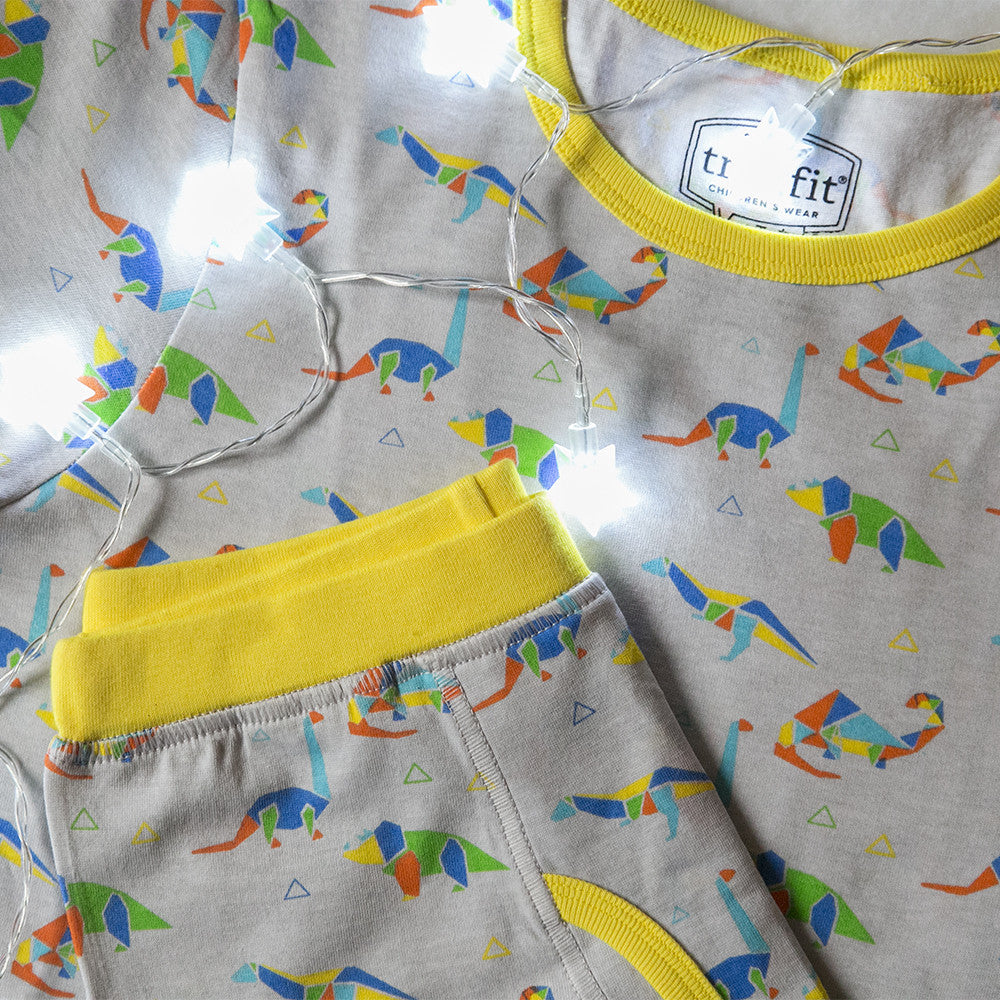 Dinosaurs Organic Cotton Long Sleeve Pajama Set