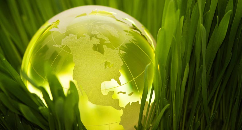 Green earth globe in green grass 