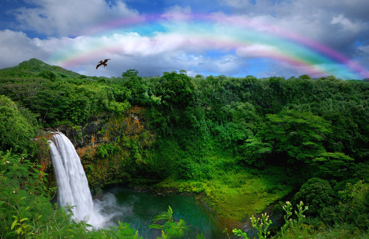 Kauai Hawaii waterfall and rainbow
