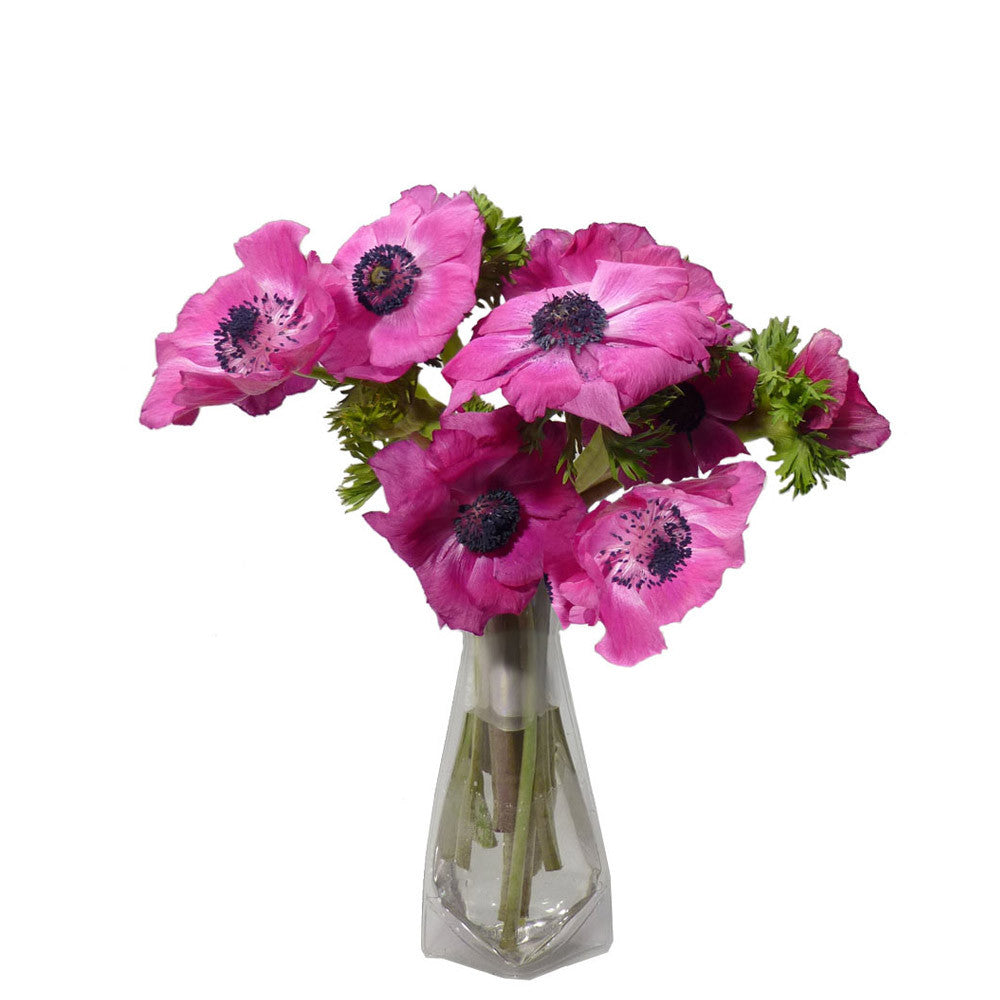 Wondervase Travel Clear Collapsable Flower Vase Small Going In
