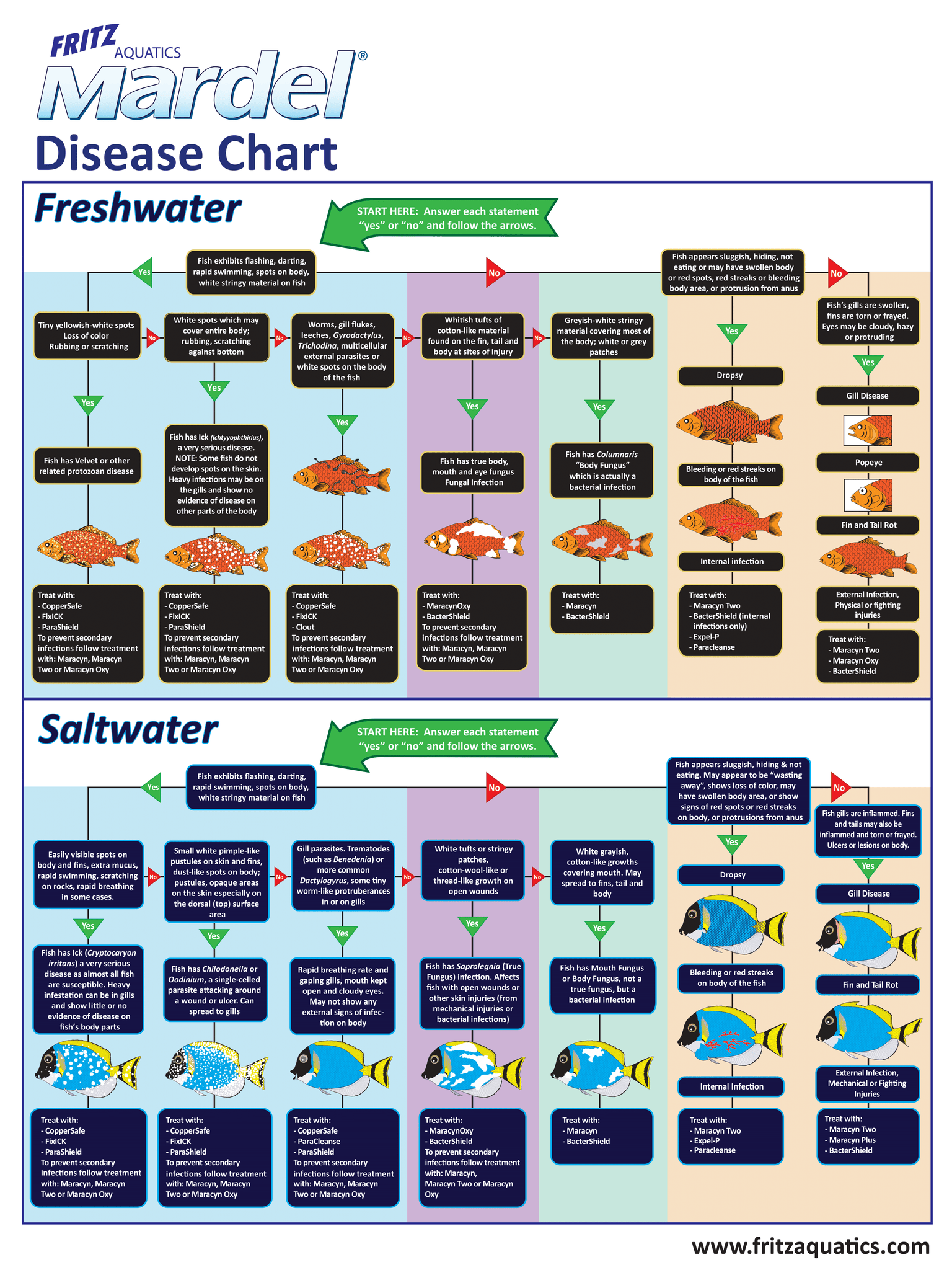 Fritz Disease Guide Chart