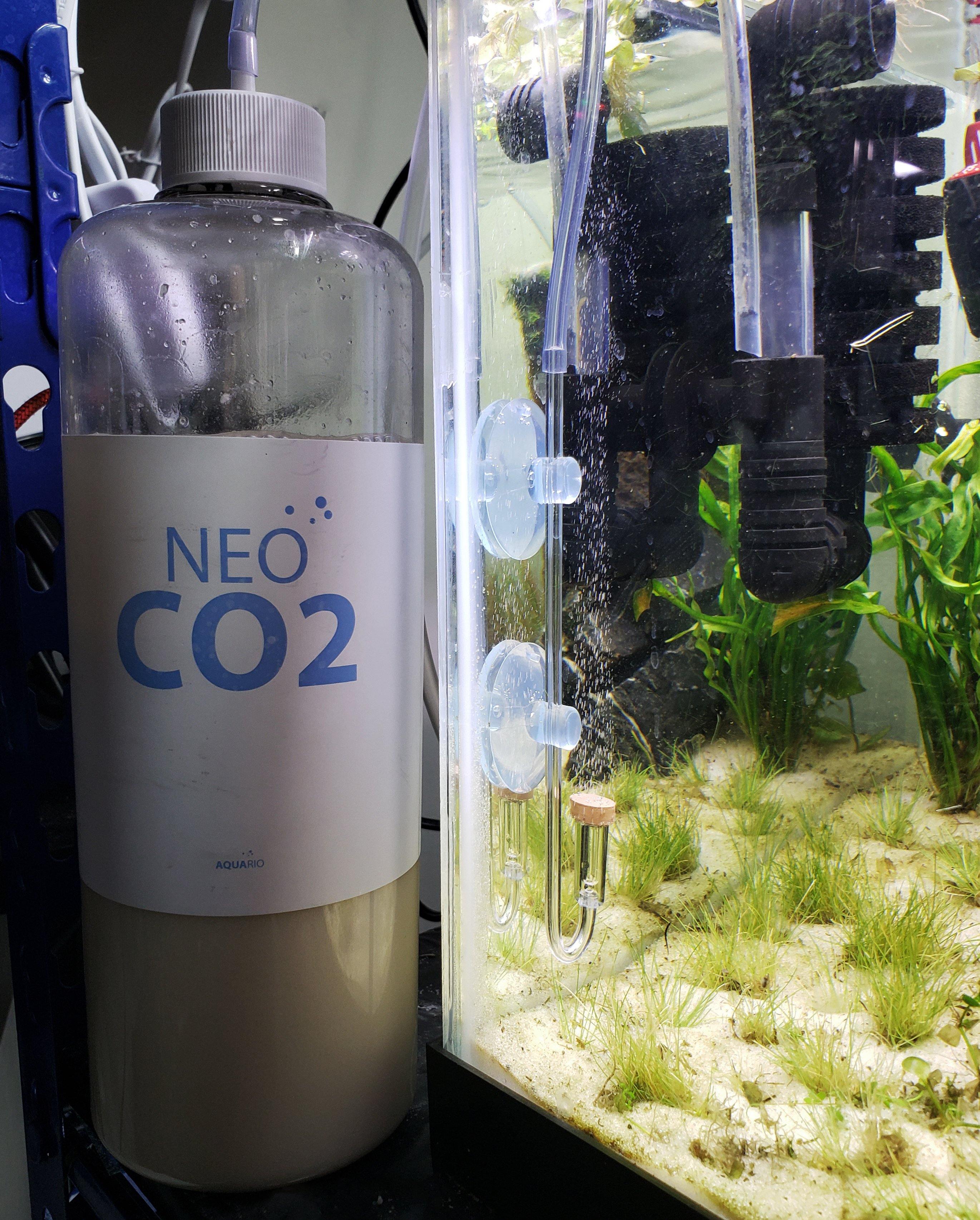 Aquario Neo Co2 Diy Co2 Kit Windy City Aquariums