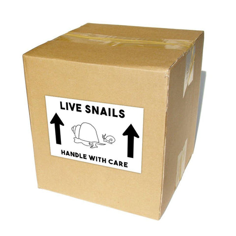 Live Snail Shipping Labels