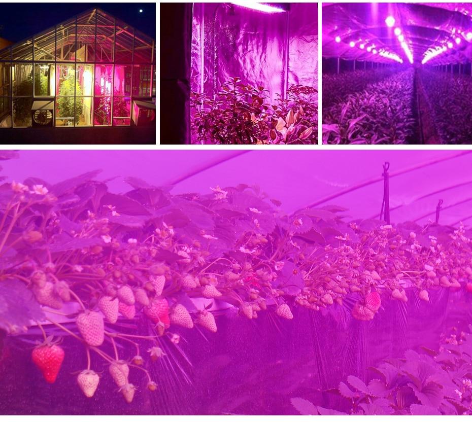 Plant LED Grow Lights Full Spectrum Indoor - Daniels Store