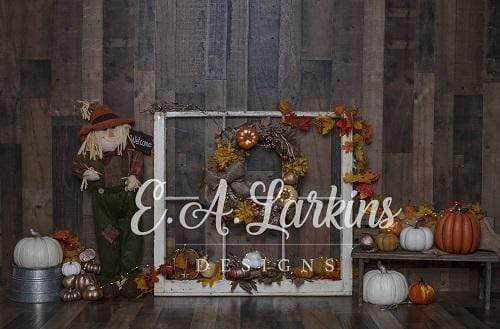 Kate Pumpkins Harvest Wooden Backdrop Designed By Erin Larkins