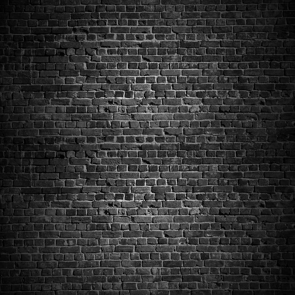 Kate Black Brick Wall for Photography – katebackdrop AU