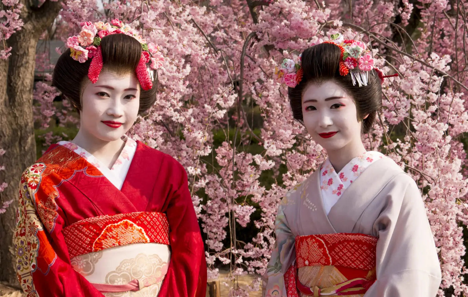 Les geishas japonaises: une tradition millénaire