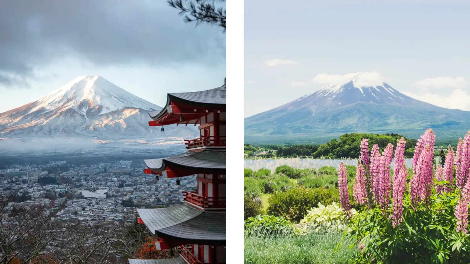 Tout savoir sur le Mont Fuji le volcan du Japon - Ramen Nation