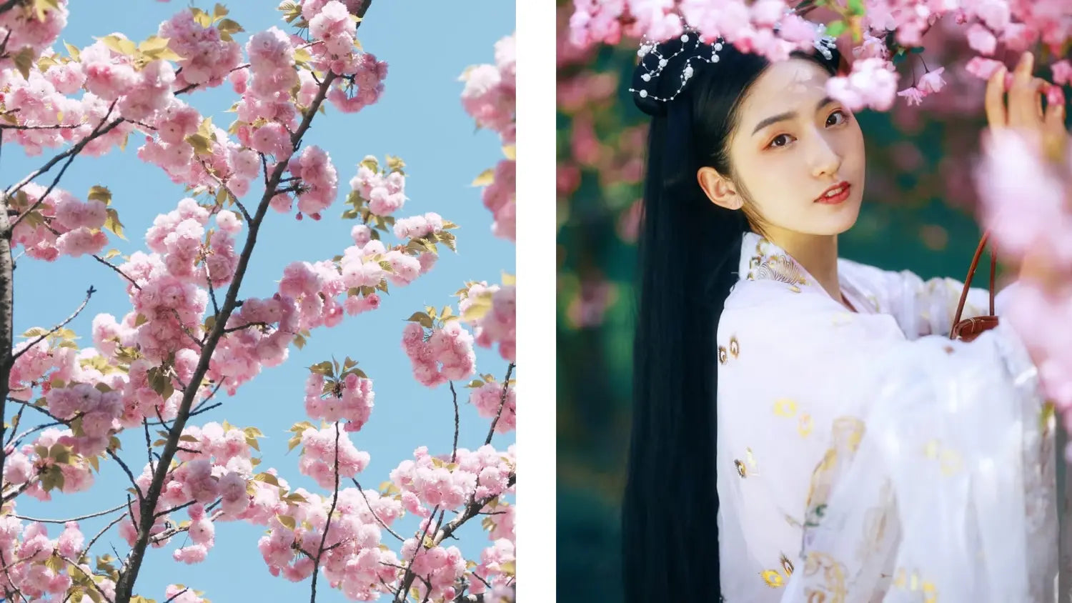 kimono japonaise rose cerisier sakura - Ramen Nation