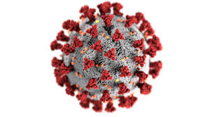 Coronavirus Image via https://www.cdc.gov/