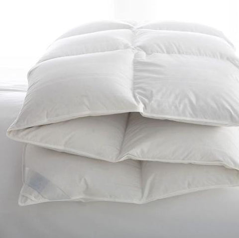 https://cdn.shopify.com/s/files/1/0301/1939/5387/products/lucerne-king-comforter-down-product-scandia-334911_large.jpeg?v=1634971869
